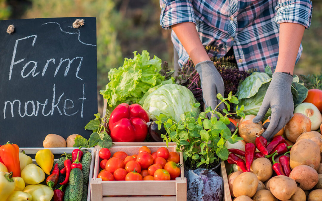 Farm Fresh and Community-Driven: Discovering Candia’s Farmers Market