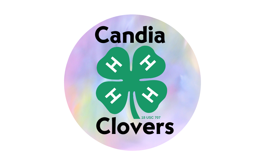 Candia Clovers 4H