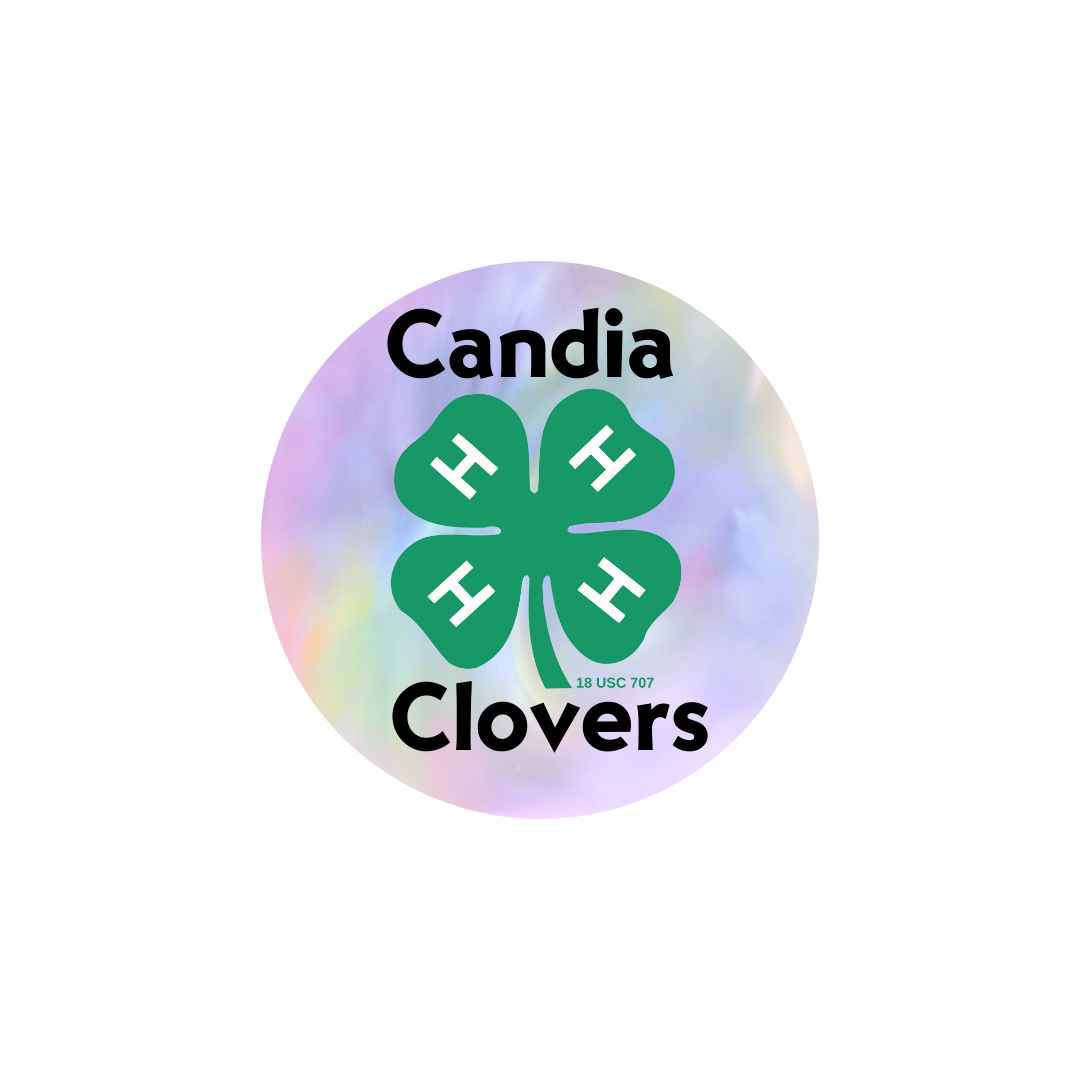Candia Clovers 4H